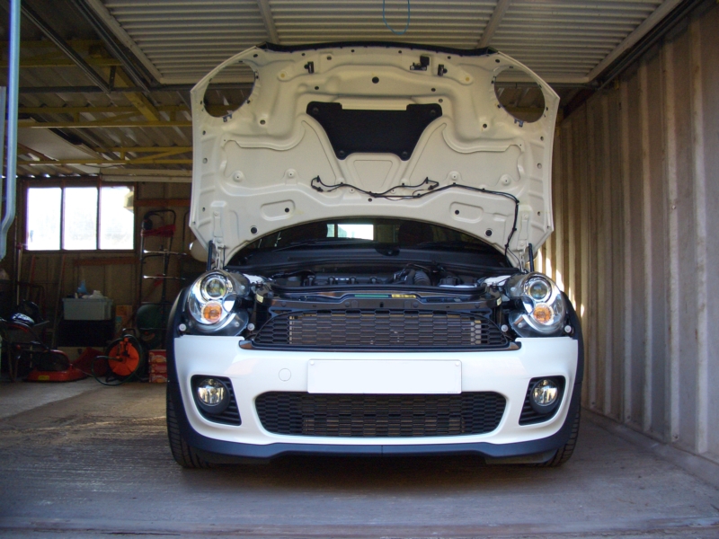 07-04-28_09 - Pepper White R56 MINI at Home.JPG